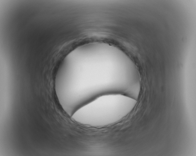 X0000114221061200910091044