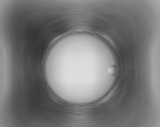 X0000114221065200910091044
