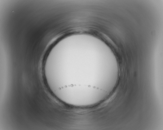 X0000114221071200910091044