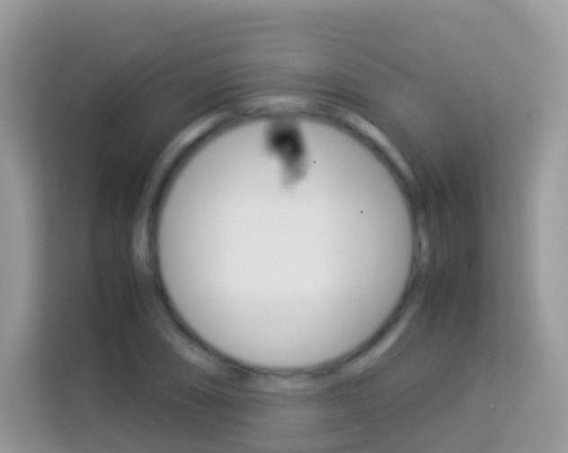 X0000114221074200910091044