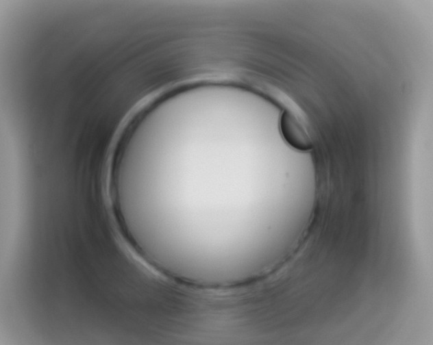 X0000114221080200910091044