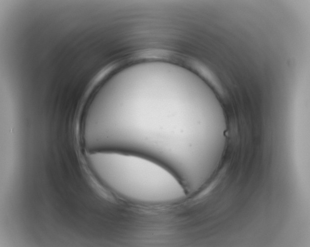 X0000114221082200910091044