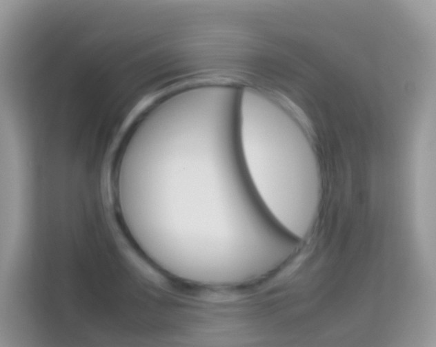 X0000114221083200910091044