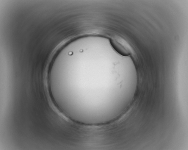 X0000114221088200910091044