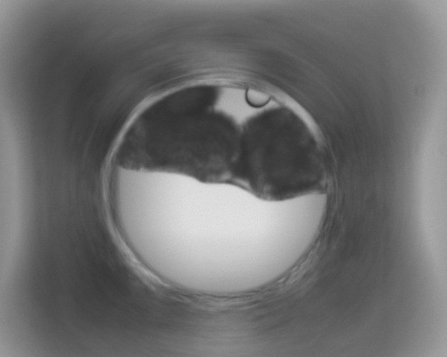 X0000114221099200910091044