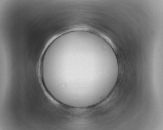 X0000114221103200910091044