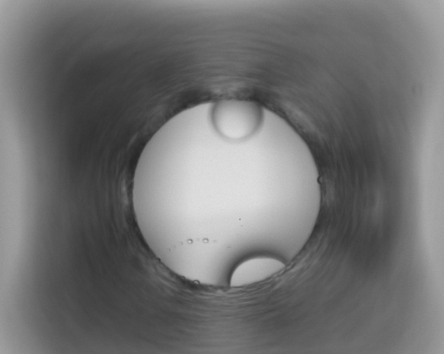 X0000114221106200910091043