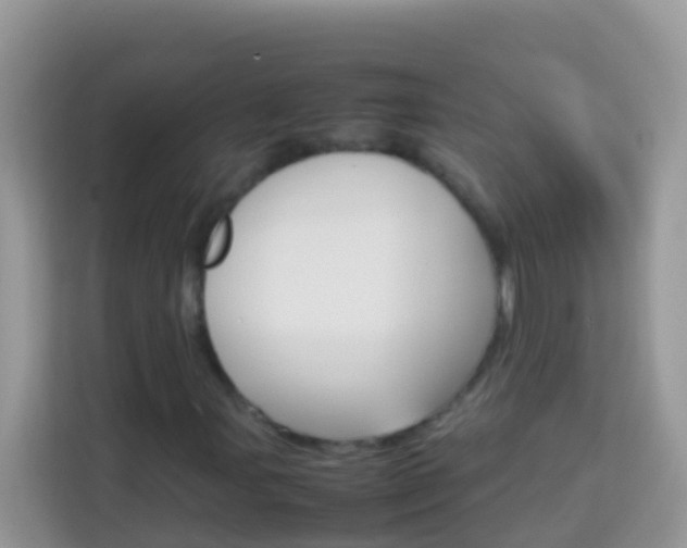 X0000114221107200910091043