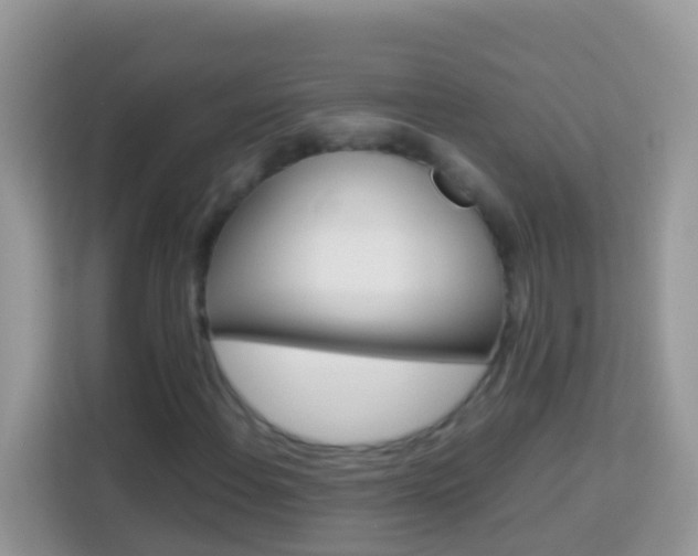X0000114221108200910091043