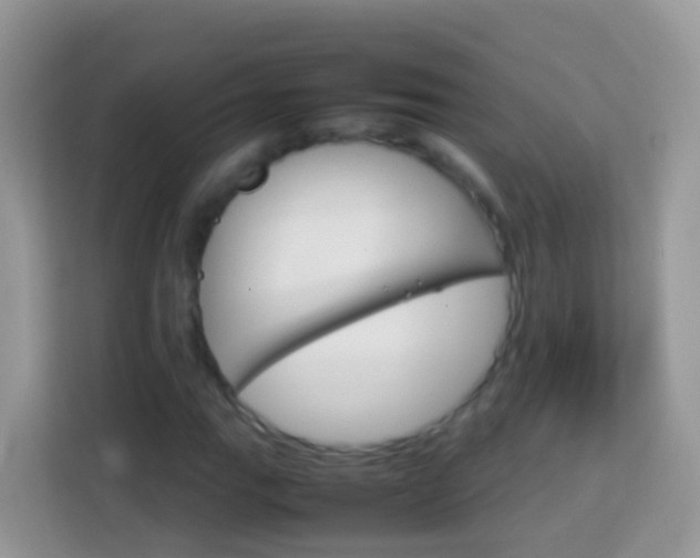 X0000114221111200910091043