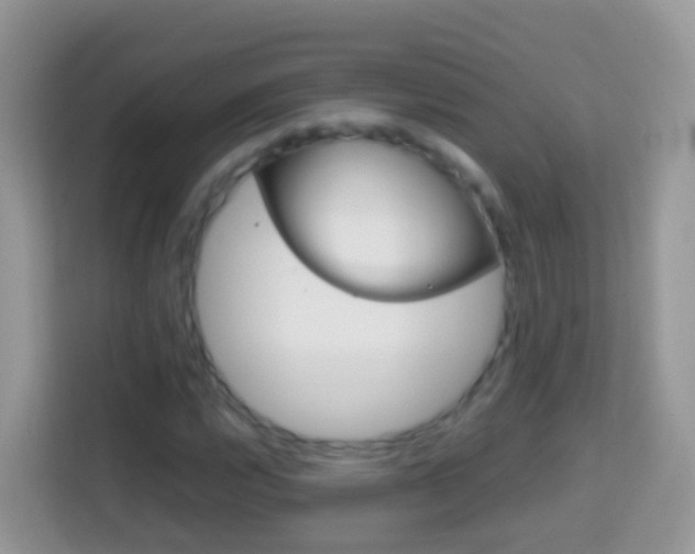 X0000114221112200910091043