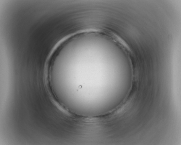X0000114221116200910091043