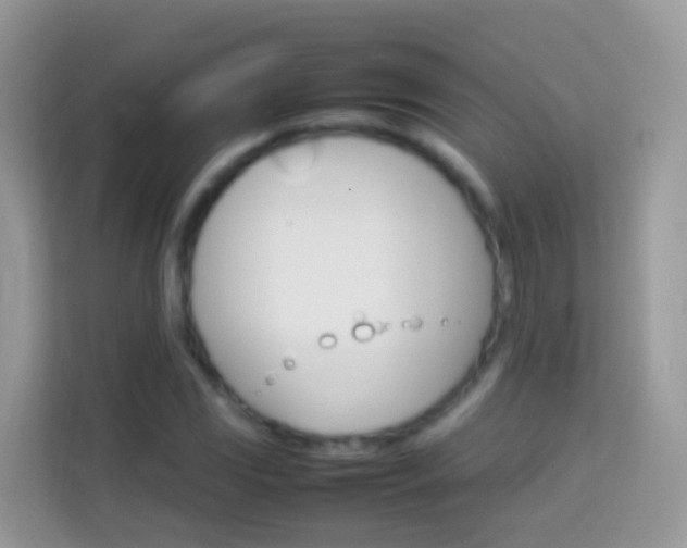 X0000114221117200910091043