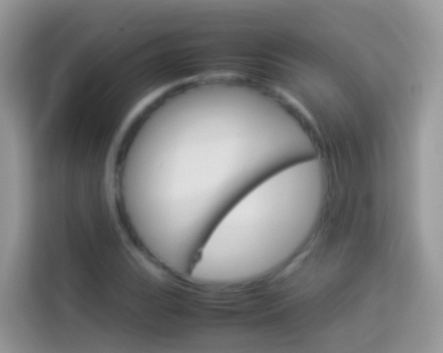 X0000114221119200910091043