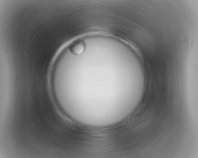 X0000114221120200910091043