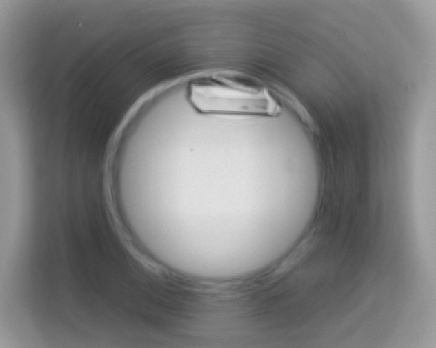X0000114221124200910091043