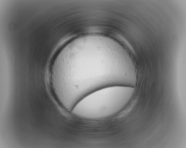 X0000114221125200910091043