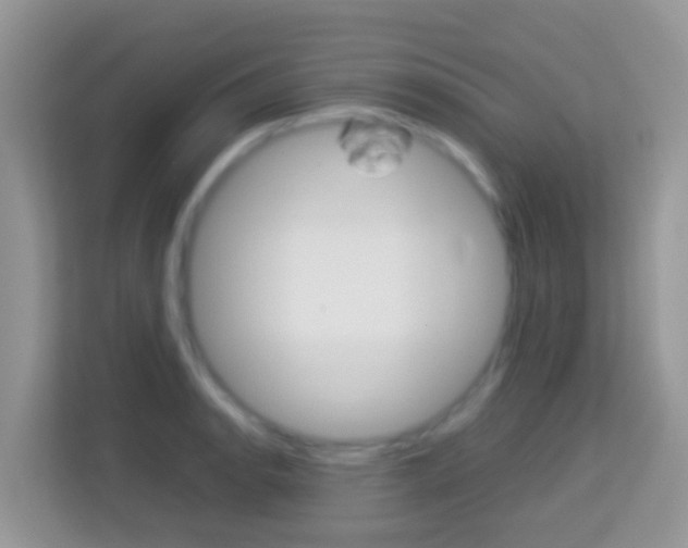 X0000114221134200910091043