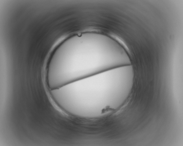 X0000114221135200910091043