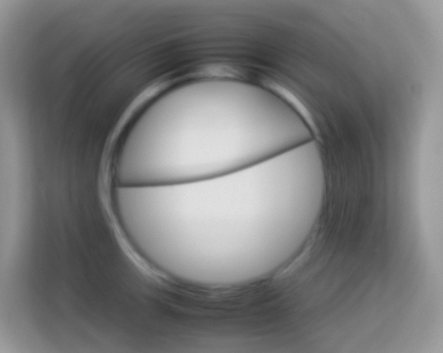 X0000114221139200910091044