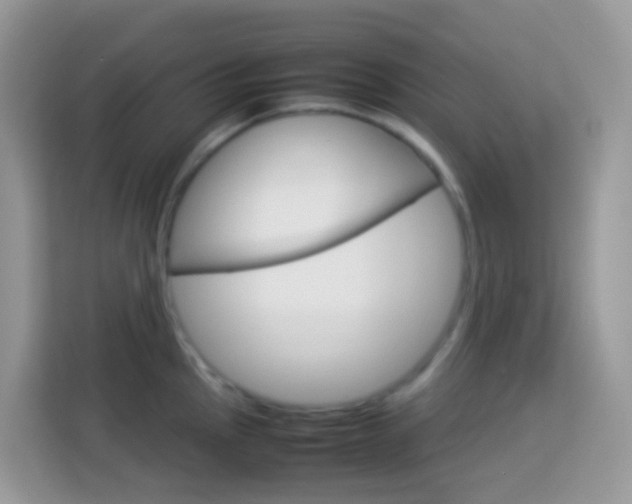 X0000114221145200910091044