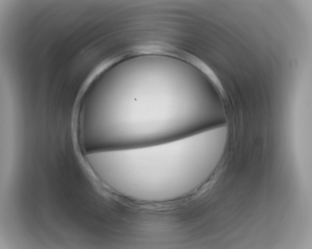 X0000114221146200910091044