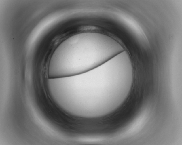 X0000114221151200910091044