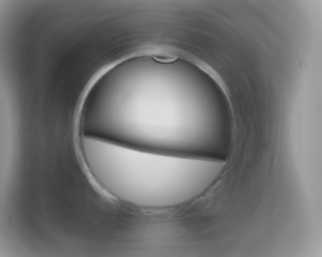 X0000114221152200910091044