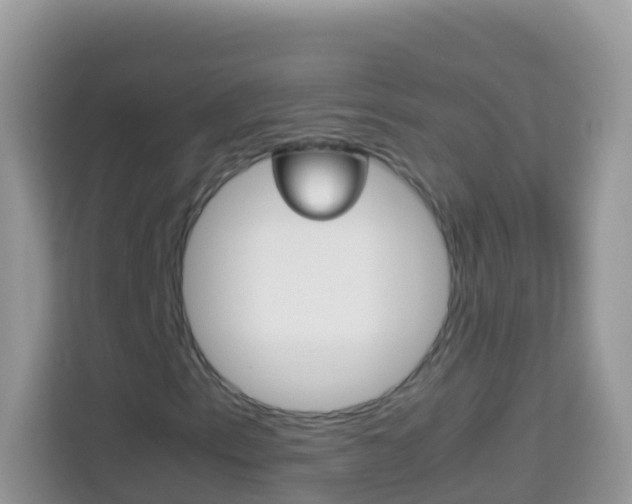 X0000114221153200910091043
