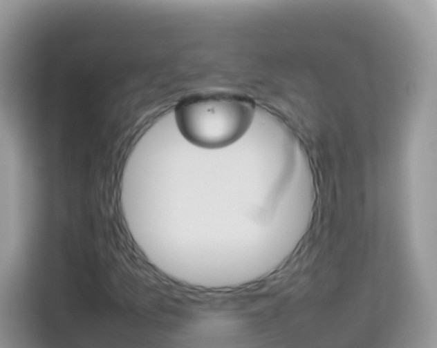 X0000114221157200910091043