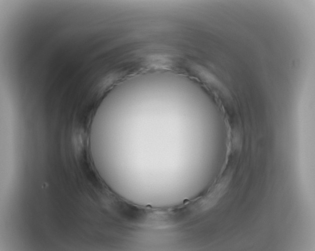 X0000114221161200910091043