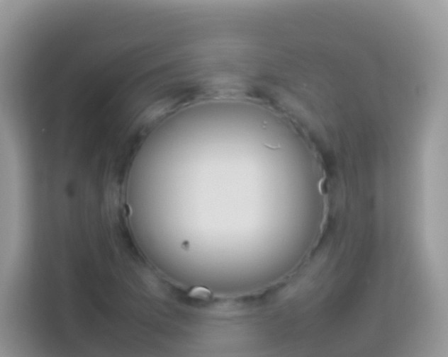 X0000114221169200910091043