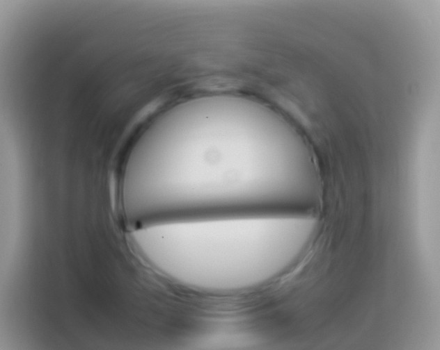 X0000114221171200910091043
