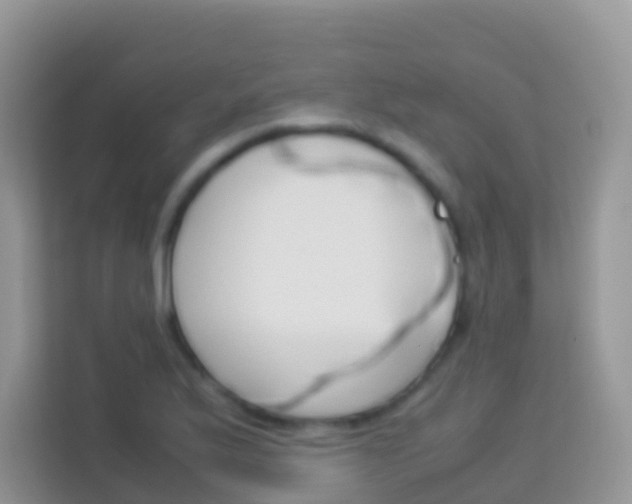 X0000114221175200910091043