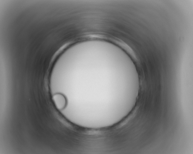X0000114221182200910091043