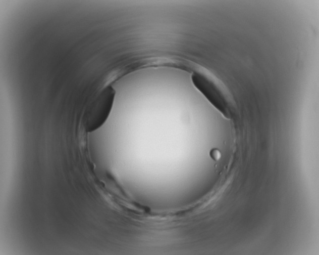 X0000114221185200910091043