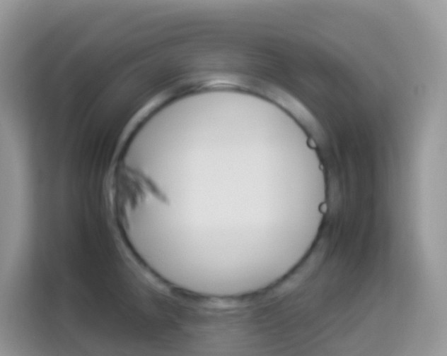 X0000114221190200910091043