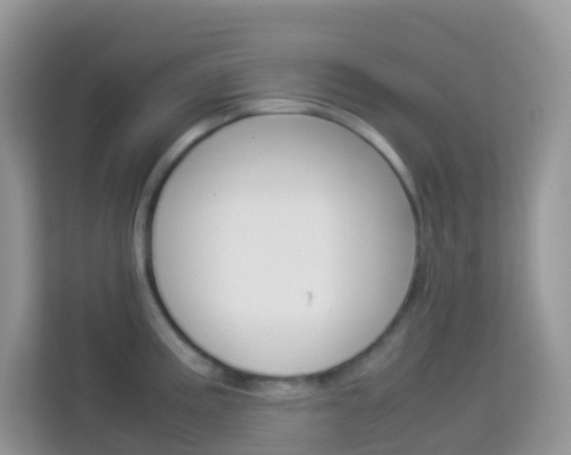 X0000114221195200910091043