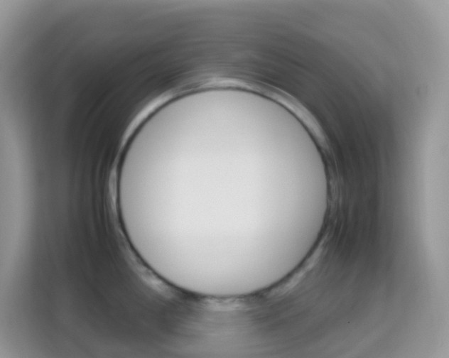 X0000114221198200910091042