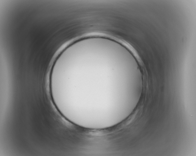 X0000114221199200910091042
