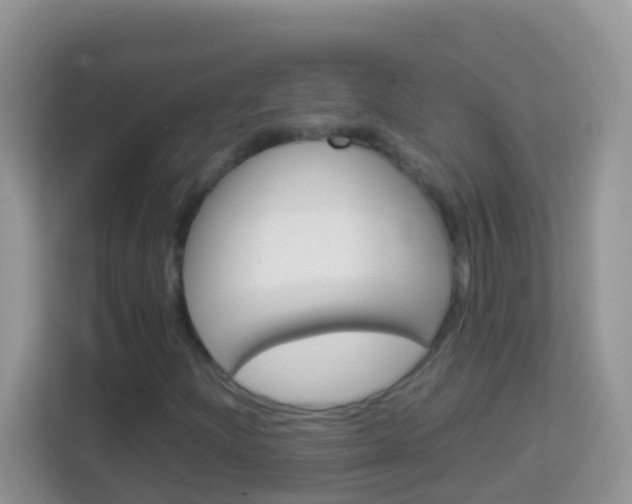 X0000114221204200910091042