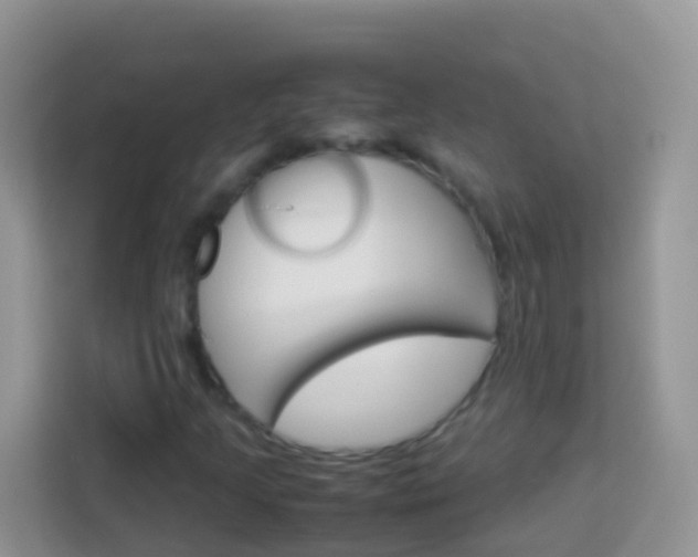X0000114221205200910091042