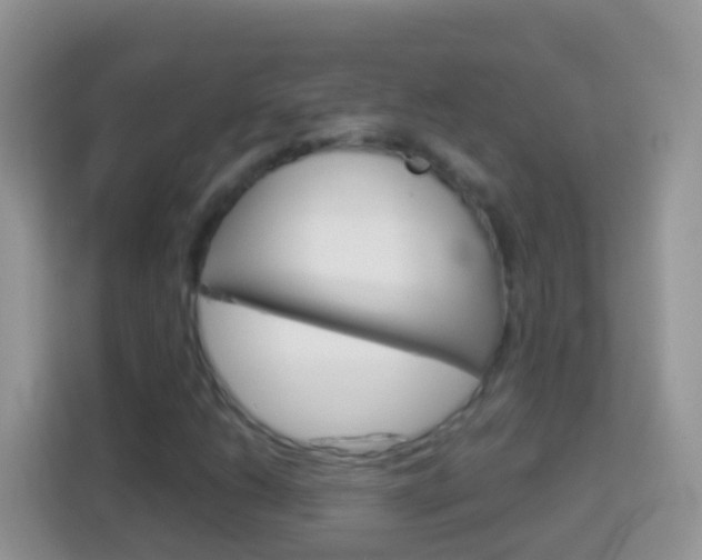 X0000114221206200910091042