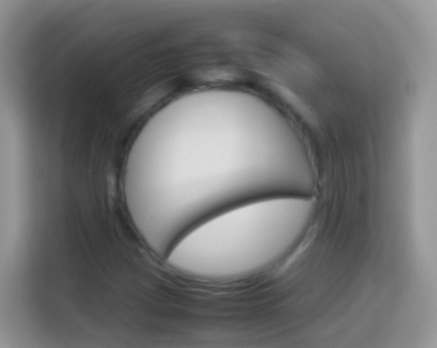 X0000114221209200910091042