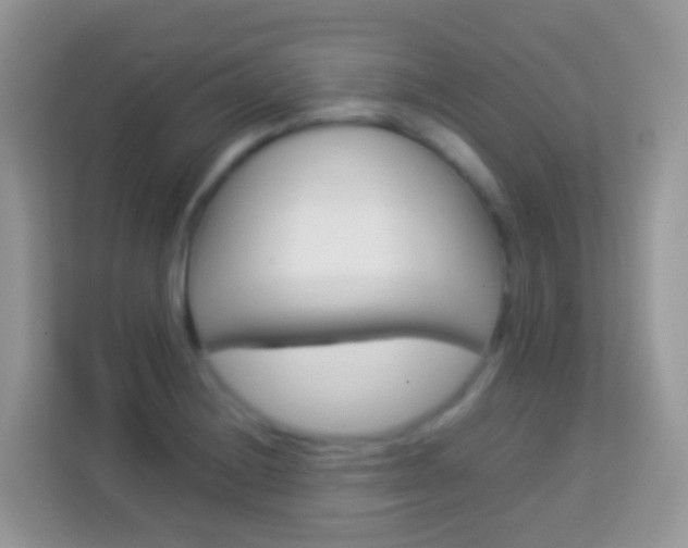 X0000114221228200910091042