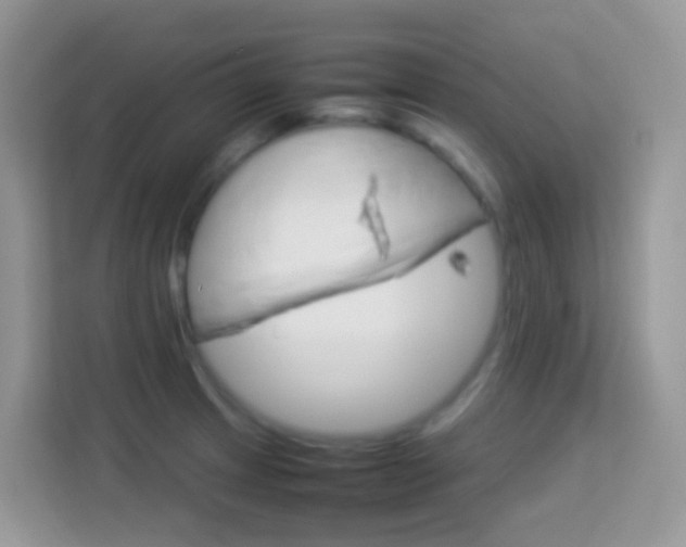 X0000114221233200910091042