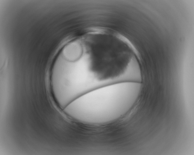 X0000114221235200910091042