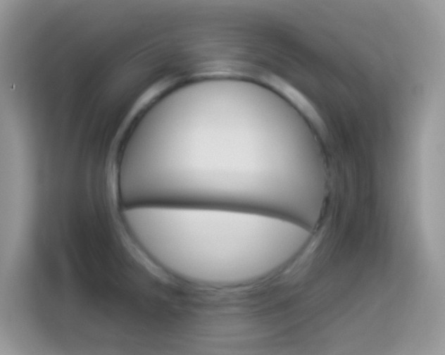 X0000114221238200910091042