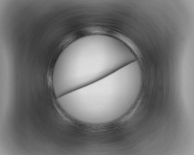 X0000114221241200910091042