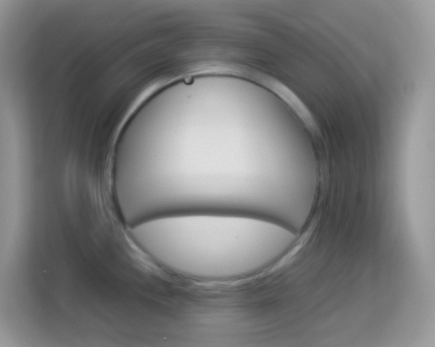 X0000114221244200910091042